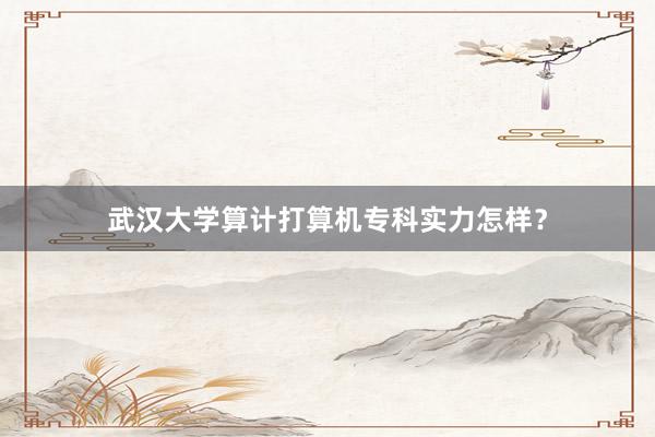 武汉大学算计打算机专科实力怎样？
